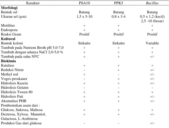 Tabel 1. Karakteristik Fenotipik Isolat  bakteri amilolitik indigenous dan genus Bacillus 