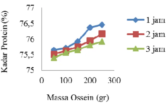 Gambar 2. Hubungan Massa Ossein dan Waktu Ekstraksi Terhadap Kadar Protein  Gelatin Tulang Ikan Tenggiri 