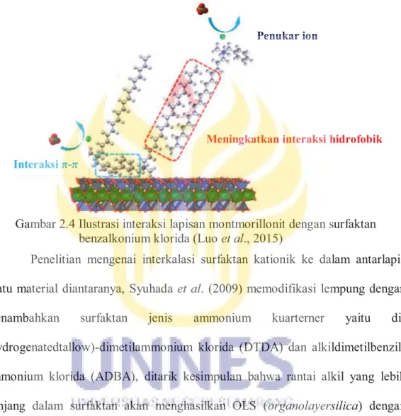 Gambar 2.4 Ilustrasi interaksi lapisan montmorillonit dengan surfaktan   benzalkonium klorida (Luo et al., 2015) 