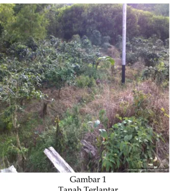 Gambar 1  Tanah Terlantar  