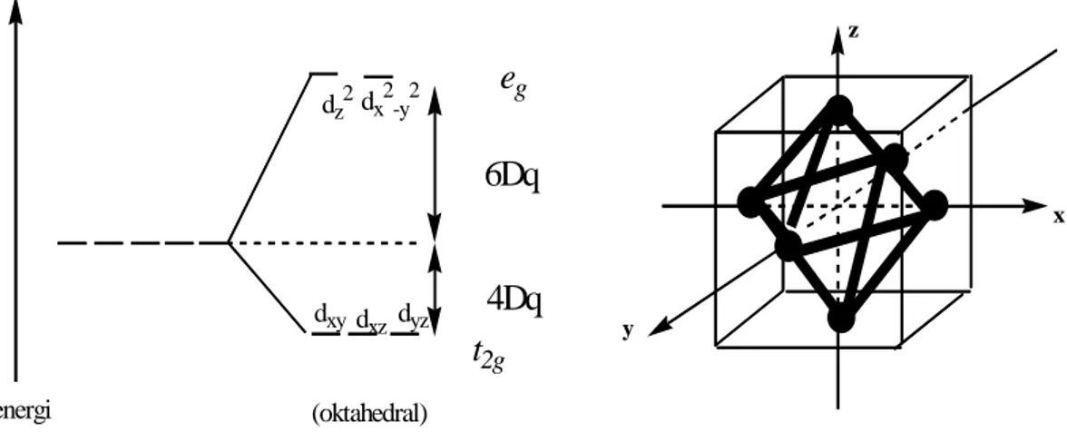 Gambar  11.  Diagram  pemisahan  dan  bidang  kubik  orbital  d  dalam  medan  oktahedral (Huheey and Keither, 1993 : 402)