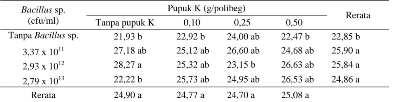 Tabel  1  menunjukkan  bahwa  kombinasi  perlakuan  Bacillus  sp.  endofit  2,93  x  10 12 cfu/ml dan tanpa pupuk K berbeda nyata dengan  kombinasi  perlakuan  tanpa  Bacillus  sp