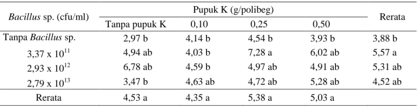 Tabel  5  menunjukkan  bahwa  pemberian  Bacillus  sp.  endofit  dan  pupuk  K  cenderung  meningkatkan  berat  kering  bibit  kelapa  sawit
