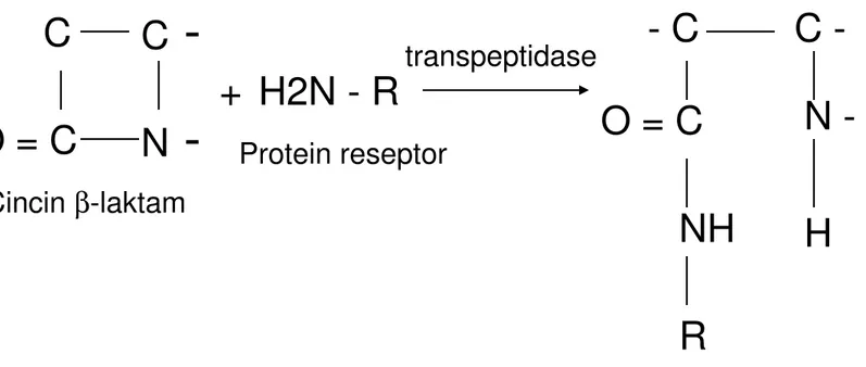 Gambar 3. Reaksi asilasi ggs amino serin dari enzim 
