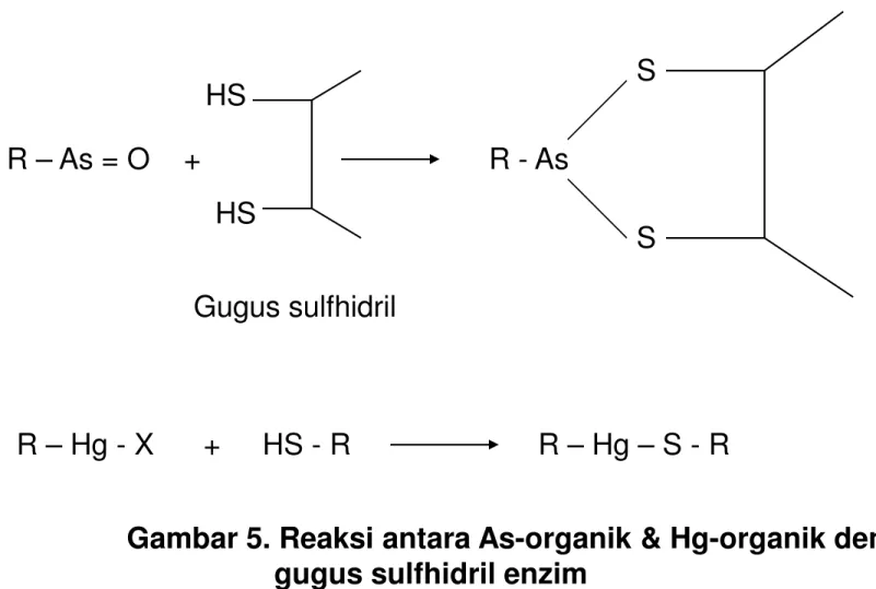 Gambar 5. Reaksi antara As-organik &amp; Hg-organik dengan gugus sulfhidril enzim