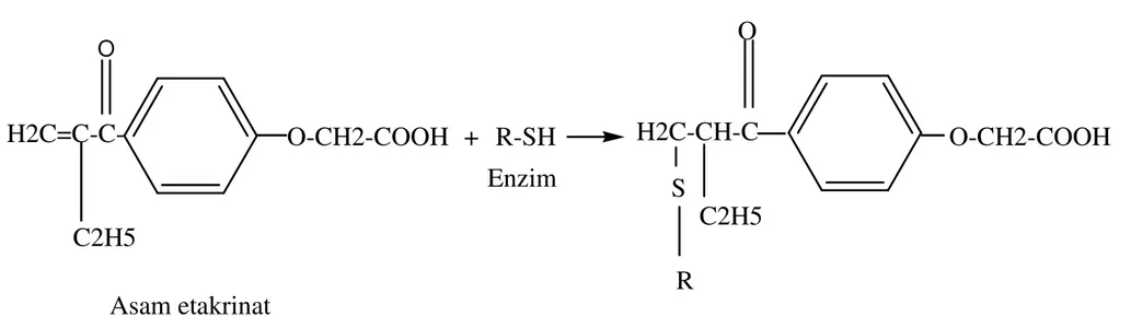 Gambar 6. Mekanisme reaksi asam etakrinat dengan gugus SH enzim