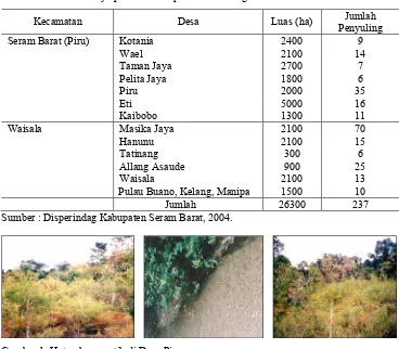 Tabel 1. Luas hutan kayu putih di Kabupaten Seram Bagian Barat 