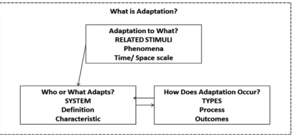 Gambar 2.1. Konsep Adaptasi, berdasarkan penyesuaian dari Adaptasi  dalam Perubahan Iklim oleh Smit dkk., (1999)