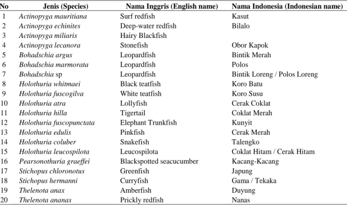 Tabel 1. Jenis teripang yang tertangkap di Pulau Datu
