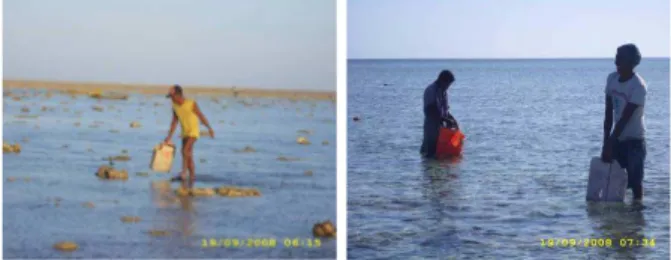Gambar 4. Cara melakukan penangkapan teripang Figure 4. Fishing method for collecting sea cucumbers
