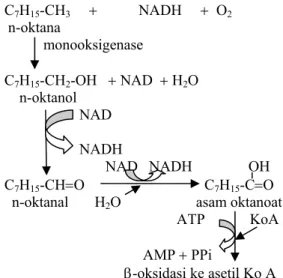 Gambar 2  Reaksi degradasi hidrokarbon  aromatik. 