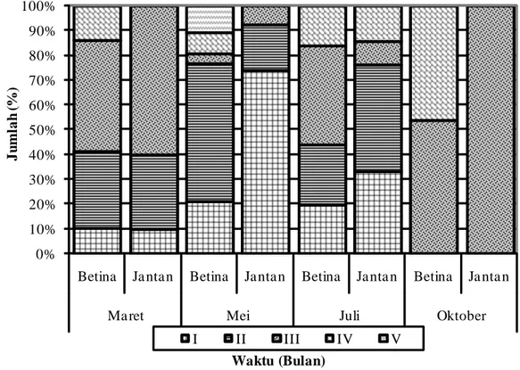 Gambar 3. Tingkat Kematangan Gonad ikan Betutu pada bulan Maret, Mei, Juli dan Oktober 2011 Figure 3