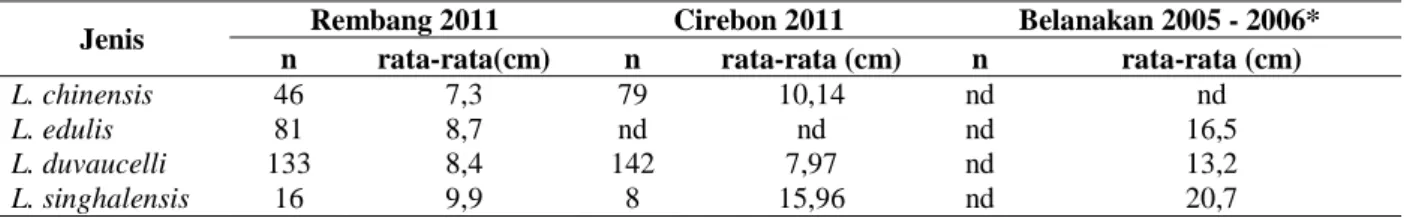 Tabel 2. Rata-rata panjang mantel beberapa jenis cumi-cumi di Laut Jawa