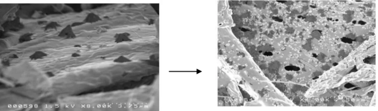 Gambar 5. Proses pembentukan pori arang  Figure 5. Process of charcoal pore formation  