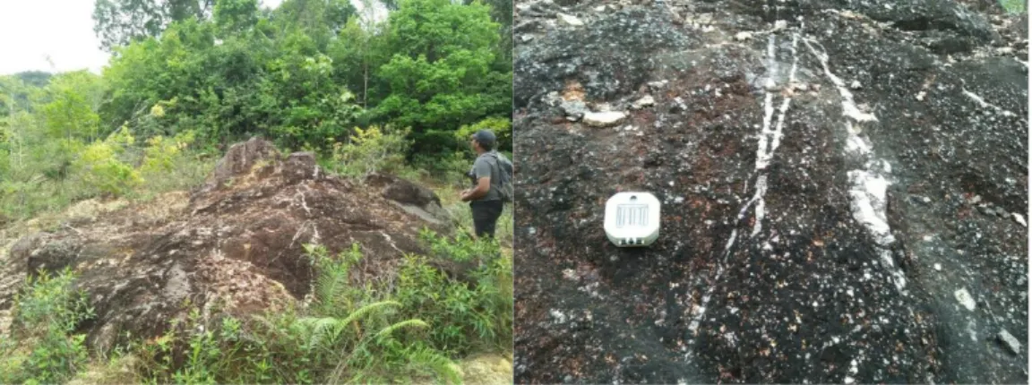 Gambar 8. Singkapan intrusi granit pada stasiun AF-26 (foto jauh:kiri, foto  dekat:kanan) 