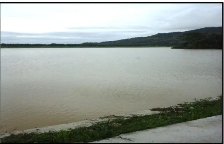 Gambar 2. Genangan air di areal sawah pada saat musim penghujan. 