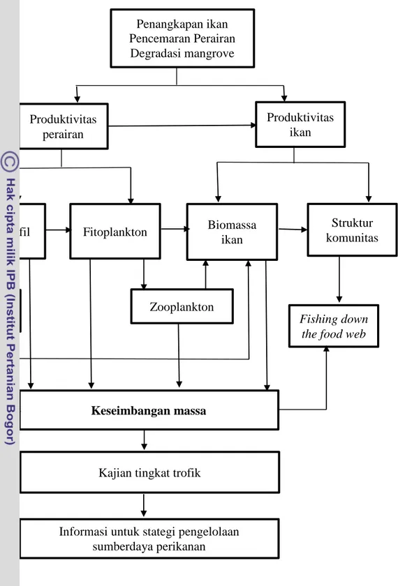 Gambar 1  Diagram alir rumusan masalah model trofik ekosistem pesisir Kabupaten  Tangerang, Banten  Penangkapan ikan  Pencemaran Perairan Degradasi mangrove Produktivitas perairan  Produktivitas ikan Klorofil Biomassa ikan  Struktur  komunitas Keseimbangan