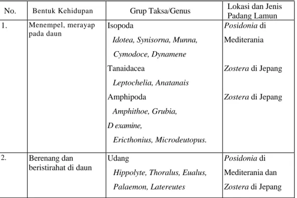 Tabel 1.   Bentuk kehidupan krustasea yang bertindak sebagai konsumer di padang lamun  (LEDOYER, 1968; PEREZ &amp; PICARD, 1964 dan KIKUCHI, 1968)