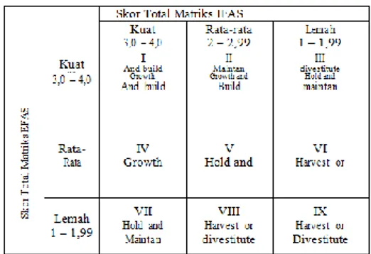 Gambar 1. Matriks IE 