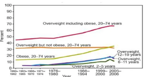Gambar 1.  Data Survei Obesitas Menurut Usia 