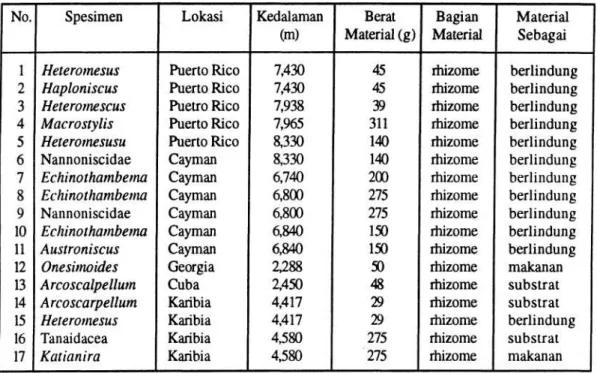 Tabel 1. Spesimen fauna krustasea pada rhizome dan daun lamun Thalassia (WOLFF, 1980) 