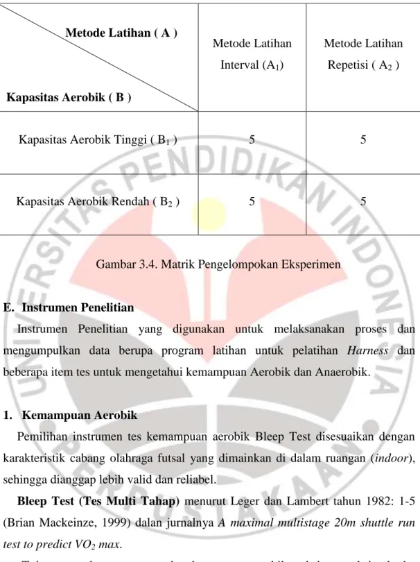 Gambar 3.4. Matrik Pengelompokan Eksperimen 