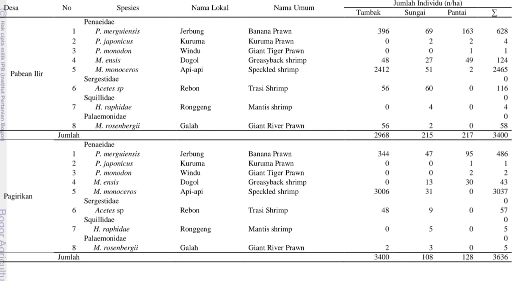 Tabel 4  Komposisi jenis udang di Desa Pabean Ilir dan Pagirikan