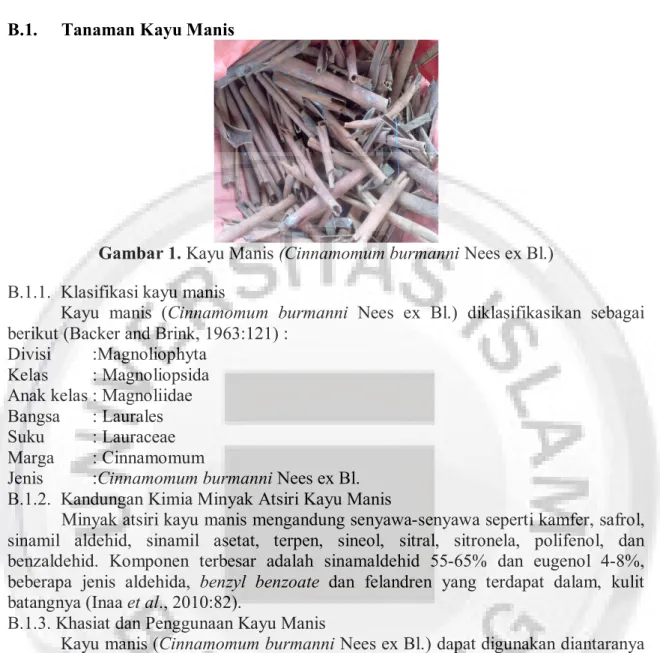 Gambar 1. Kayu Manis (Cinnamomum burmanni Nees ex Bl.)  B.1.1.  Klasifikasi kayu manis 