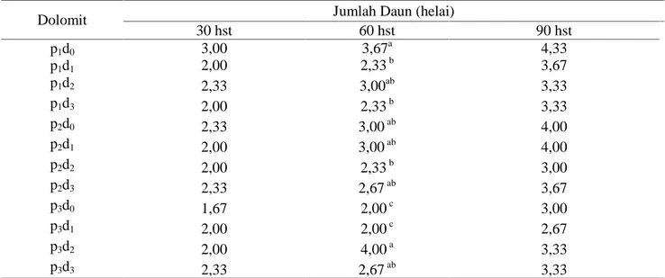 Tabel 4. Rata-Rata Pertambahan Jumlah Daun (helai) pada Perlakuan Interaksi Pupuk Phospor dan Dolomit