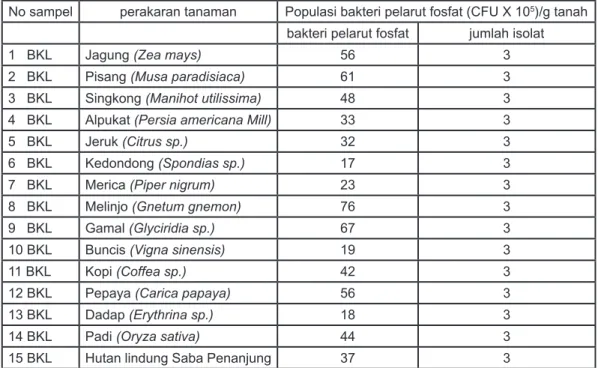 Tabel 1: Populasi bakteri tanah dari desa Suro Muncang, Kecamatan Ujan Mas, Kabupaten  Kapahiang, Propinsi Bengkulu.