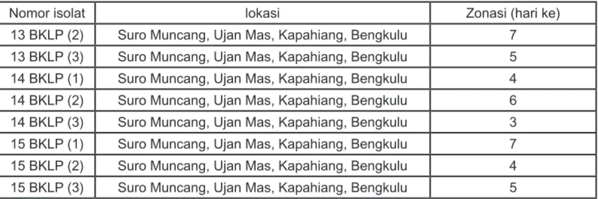 Tabel 4: Kemampuan melarutkan fosfat dari 30 isolat murni dari sampel tanah desa Bukit  Peninjauan, Kecamatan Sukaraja, Kabupaten Seluma, Propinsi Bengkulu.