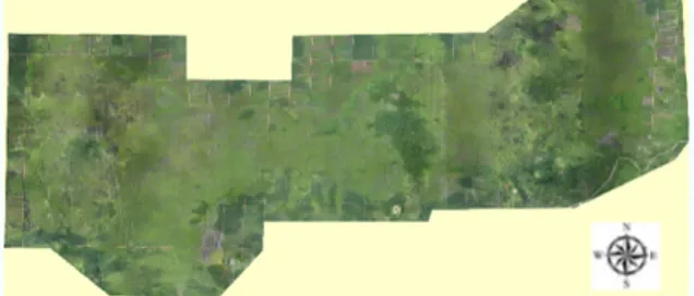 Gambar 1. Peta Foto Udara pada Lokasi Pengamatan 