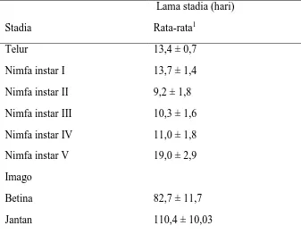 Tabel 4.1  Lama stadia Sicanus Sp dengan mangsa T. molitor 