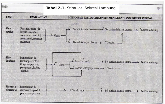 Tabel 2-1. Stimulasi Sekresi Lambung