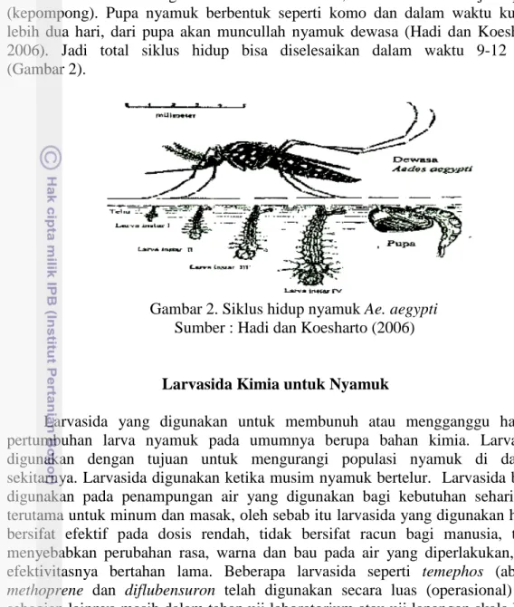 Gambar 2. Siklus hidup nyamuk Ae. aegypti  Sumber : Hadi dan Koesharto (2006) 