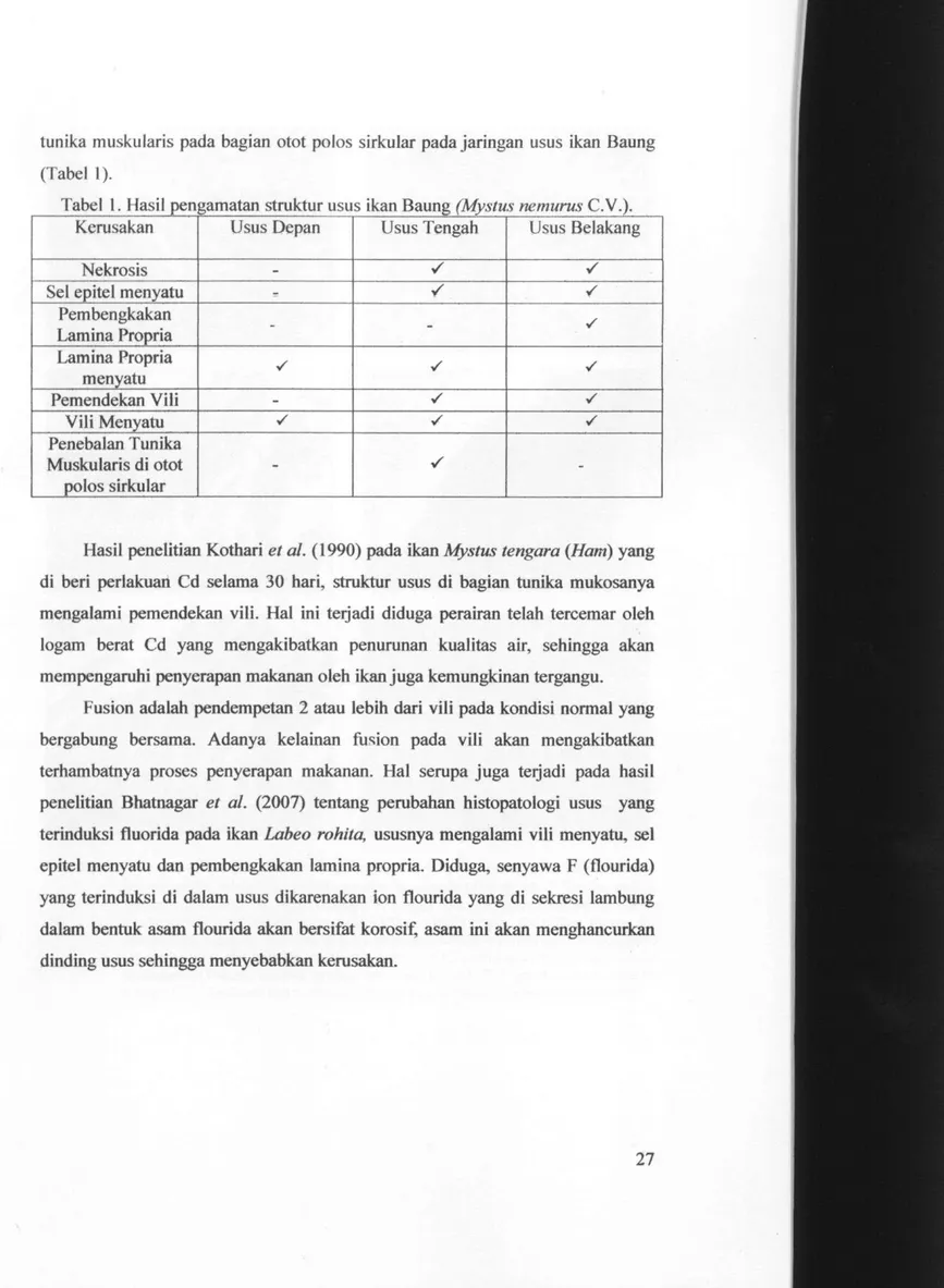 Tabel 1. Hasil pengamatan struktur usus ikan Baung (Mystus nemurus C.V.). 