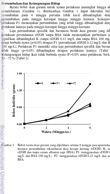 Gambar 1 Bobot rerata ikan gurami yang dipelihara selama 6 minggu pascaperendaman 