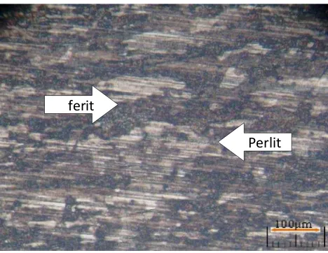 Gambar struktur mikro raw material 