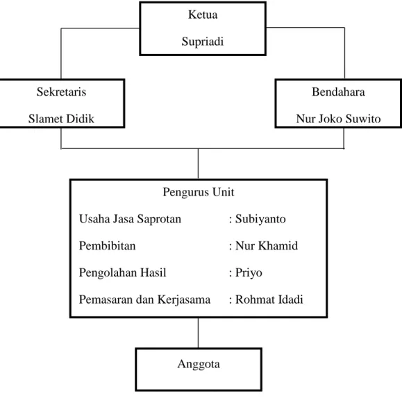 Gambar 1. Struktur Organisasi Pengurus Kelompok Tani Lestari 