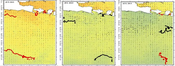 Gambar 2. Sebaran Spasial Arus dan Thermal Front Pada Keadaan Normal  Pada  saat  MT  dengan  El  Niño,  thermal  front 