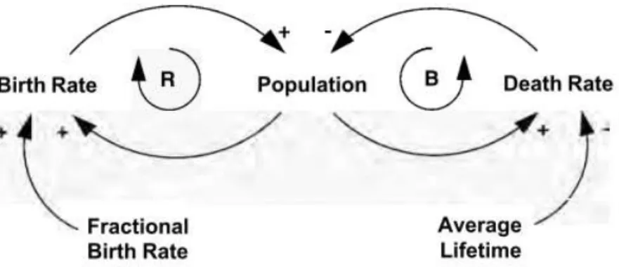 Gambar 2.7. Causal Loop Diagram Populasi 