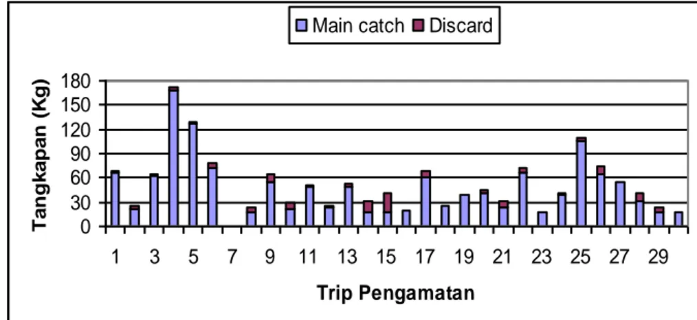 Gambar 15. Perbandingan jumlah tangkapan utama dan hasil tangkapan  yang          terbuang pada alat tangkap set net di Perairan Bone