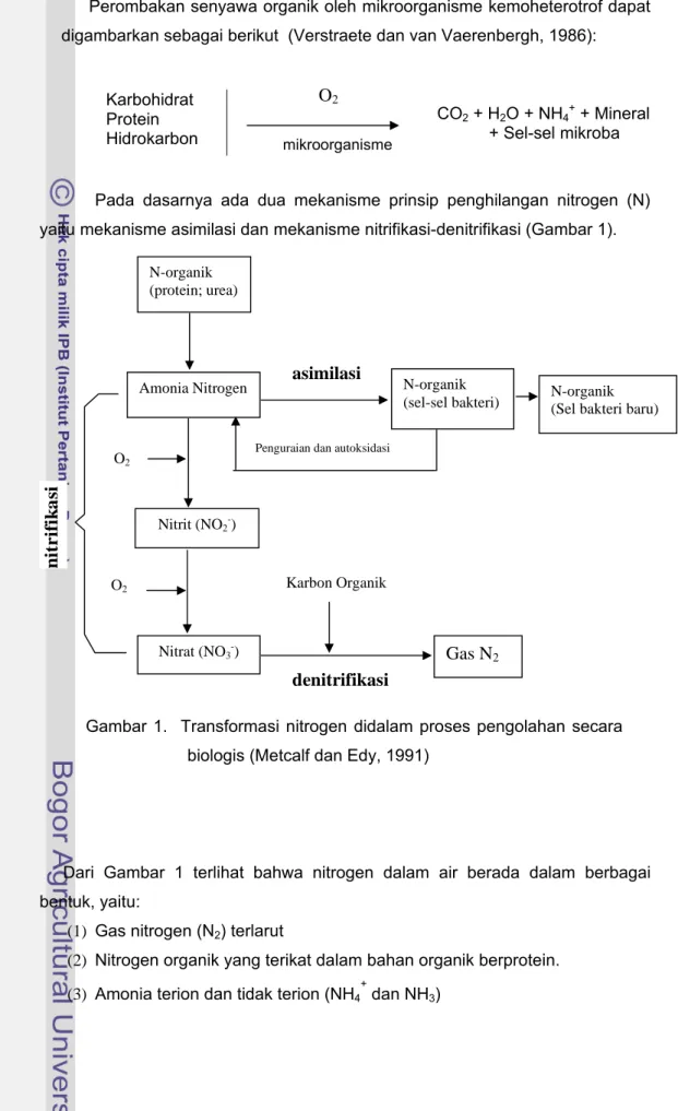 Gambar 1.  Transformasi nitrogen didalam proses pengolahan secara  biologis (Metcalf dan Edy, 1991) 