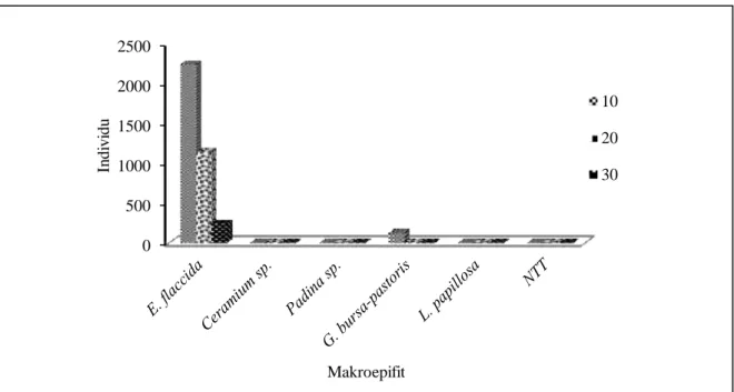 Gambar 4. Kemunculan Makroepifit pada Rakit Jaring Apung 
