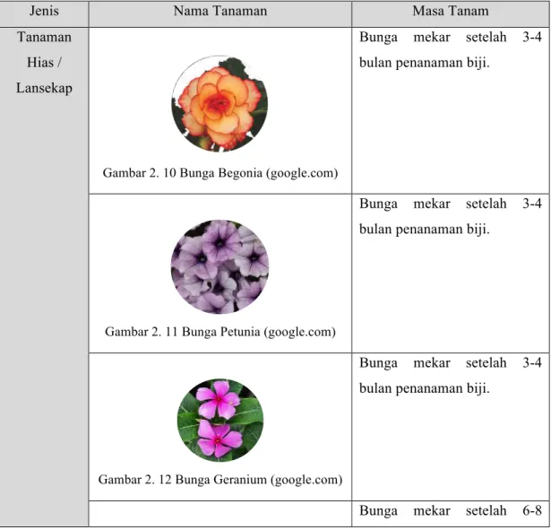 Tabel 2. 5 Jenis tanaman 