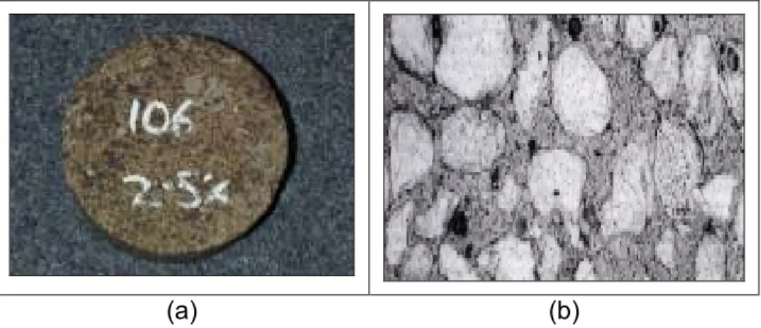 Gambar 8. Dispersi Partikel Foam Bitumen dalam Matrik Campuran Beraspal 
