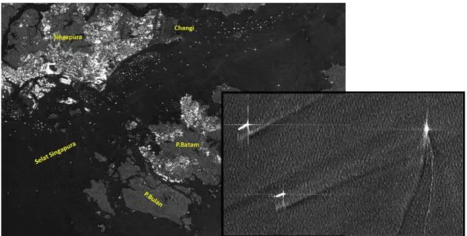 Gambar 6. Contoh citra Satelit Radar untuk identifikasi kapal. 