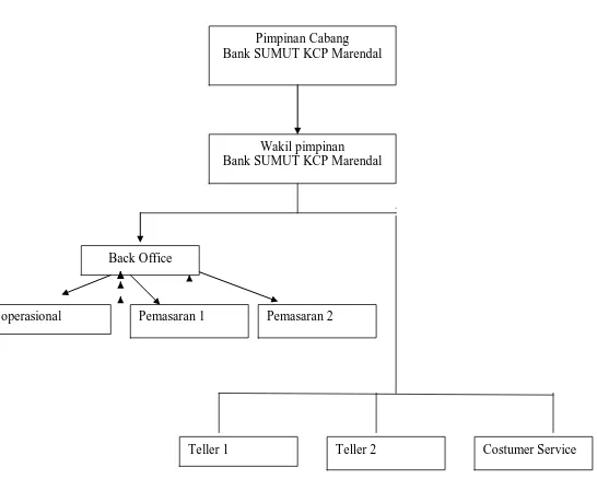 Gambar 2.1 Struktur Organisasi PT.Bank Sumut KCP Marendal 