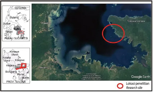 Gambar  1. Lokasi    kegiatan  penelitian  di  Desa  Tambeanga  Kabupaten  Konawe  Selatan,  Sulawesi Tenggara