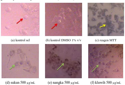 Gambar 5. Hubungan konsentrasi ekstrak metanol daun sukun, nangka dan kluwih dengan  persentase sel hidup MCF-7 